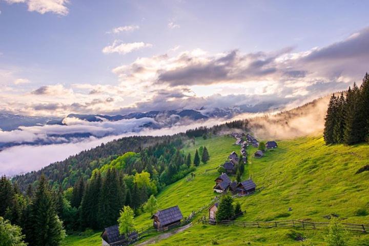 Villa Pokljuka Zgornje Gorje Exterior foto
