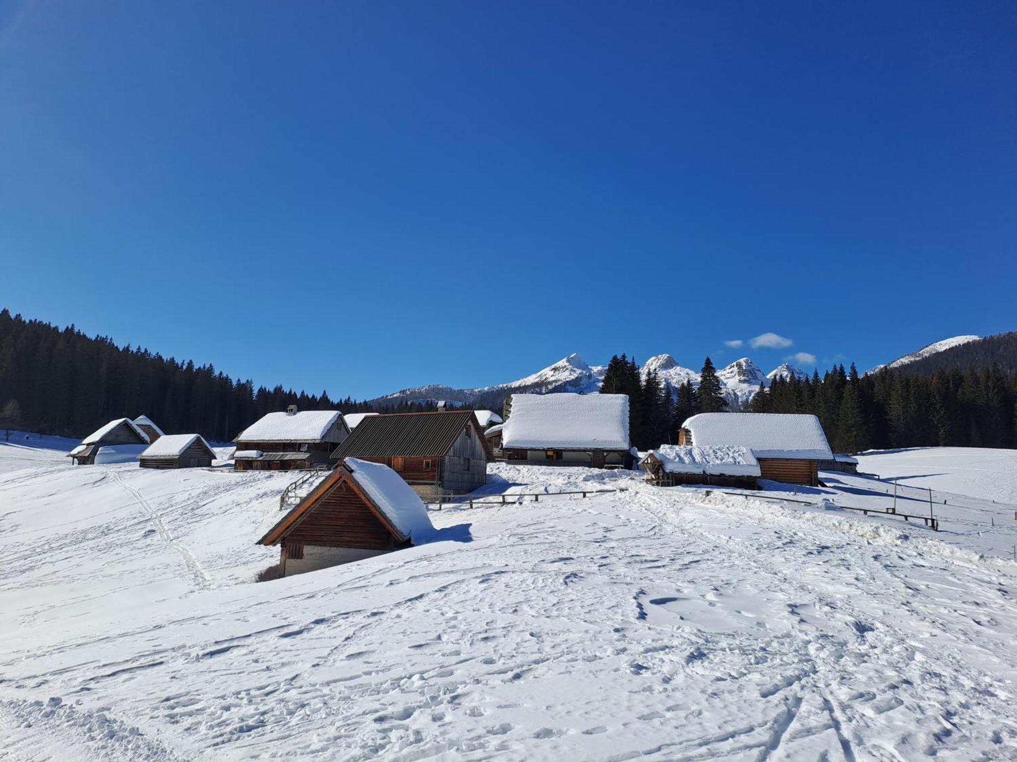 Villa Pokljuka Zgornje Gorje Exterior foto